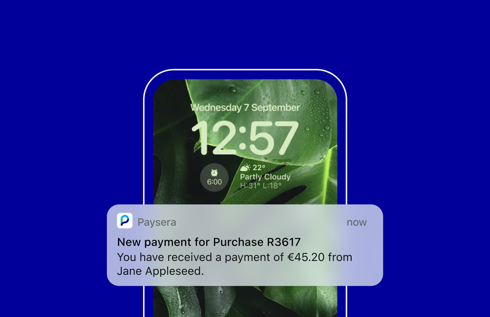 Google Pay nauda Jūsų e. parduotuvei.